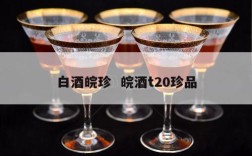 白酒皖珍  皖酒t20珍品