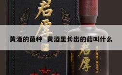 黄酒的菌种  黄酒里长出的菇叫什么