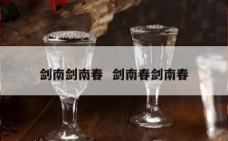 剑南剑南春  剑南春剑南春