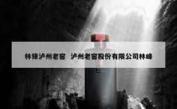 林锋泸州老窖  泸州老窖股份有限公司林峰