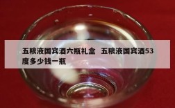 五粮液国宾酒六瓶礼盒  五粮液国宾酒53度多少钱一瓶