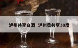 泸州共享白酒  泸州贡共享38度