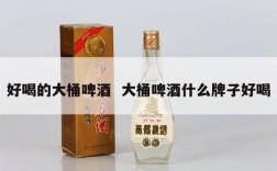 好喝的大桶啤酒  大桶啤酒什么牌子好喝
