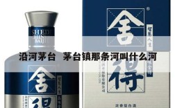 沿河茅台  茅台镇那条河叫什么河