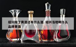 绍兴除了黄酒还有什么酒  绍兴当地喝什么品牌黄酒