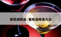 葡萄酒降温  葡萄酒降温方法