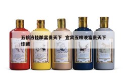 五粮液佳酿富贵天下  宜宾五粮液富贵天下佳藏