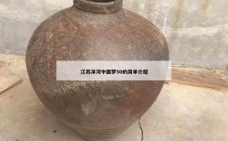 江苏洋河中国梦50的简单介绍