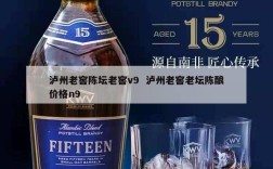 泸州老窖陈坛老窖v9  泸州老窖老坛陈酿价格n9