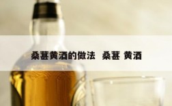 桑葚黄酒的做法  桑葚 黄酒