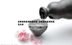 五粮液恭喜发财酒评测  五粮液恭喜发财酒怎么样