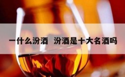 一什么汾酒  汾酒是十大名酒吗