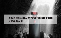 五粮液股份经典人生  宜宾五粮液股份有限公司经典人生