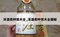 洋酒类种类大全_洋酒类种类大全图解