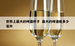 世界上最大的啤酒杯子  最大的啤酒瓶多少毫升