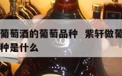紫轩做葡萄酒的葡萄品种  紫轩做葡萄酒的葡萄品种是什么