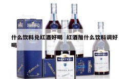 什么饮料兑红酒好喝  红酒加什么饮料调好喝