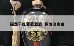 探戈干红葡萄酒酒  探戈演奏曲