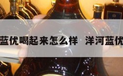 洋河蓝优喝起来怎么样  洋河蓝优介绍