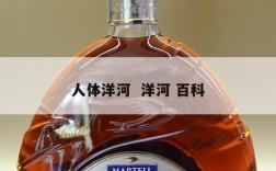 人体洋河  洋河 百科