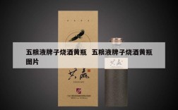 五粮液牌子烧酒黄瓶  五粮液牌子烧酒黄瓶图片