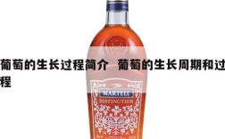 葡萄的生长过程简介  葡萄的生长周期和过程