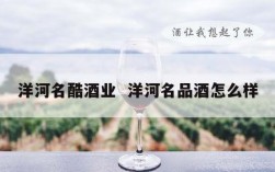 洋河名酷酒业  洋河名品酒怎么样