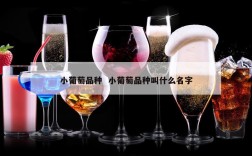小葡萄品种  小葡萄品种叫什么名字