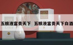 五粮液富贵天下  五粮液富贵天下白酒