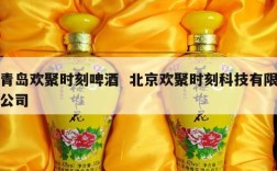 青岛欢聚时刻啤酒  北京欢聚时刻科技有限公司