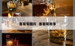 塞葡萄图片  塞葡萄故事