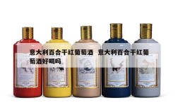 意大利百合干红葡萄酒  意大利百合干红葡萄酒好喝吗