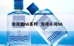 洋河酒h6系列  洋河小河h6