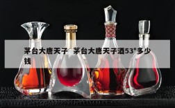 茅台大唐天子  茅台大唐天子酒53°多少钱