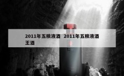 2011年五粮液酒  2011年五粮液酒王酒