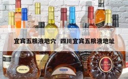 宜宾五粮液地穴  四川宜宾五粮液地址