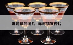 洋河镇的图片  洋河镇宣传片