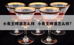 小麦王啤酒怎么样  小麦王啤酒怎么样?