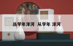 丛学年洋河  从学年 洋河