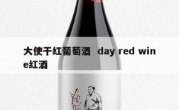 大使干红葡萄酒  day red wine红酒