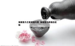 福建喜力之星啤酒代理  福建喜力啤酒总经销