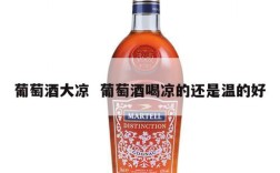 葡萄酒大凉  葡萄酒喝凉的还是温的好