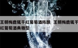 王朝梅鹿辄干红葡萄酒陈酿  王朝梅鹿辄干红葡萄酒典雅型