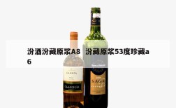 汾酒汾藏原浆A8  汾藏原浆53度珍藏a6