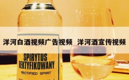 洋河白酒视频广告视频  洋河酒宣传视频