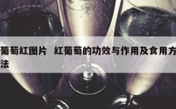 葡萄红图片  红葡萄的功效与作用及食用方法