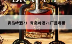 青岛啤酒71  青岛啤酒71厂是哪里