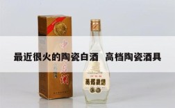 最近很火的陶瓷白酒  高档陶瓷酒具