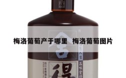 梅洛葡萄产于哪里  梅洛葡萄图片