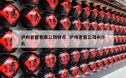 泸州老窖有限公司特点  泸州老窖公司叫什么